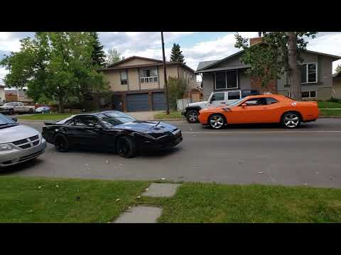 My 1988 Pontiac Firebird Trans Am comes home!