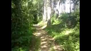 L&#39;enfant laboureur de Barbara