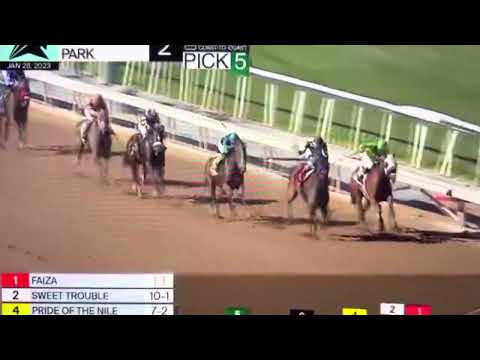 LAS VIRGENES STAKES 2023 FAIZA !!!