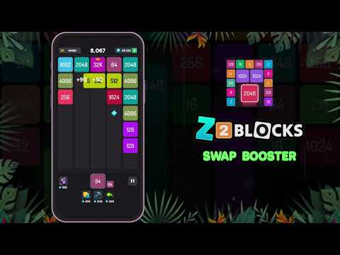 Z2 Blocks