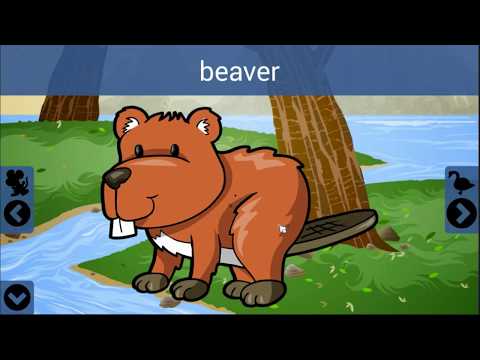 21 Animal Puzzles for Kids | Learning Puzzle for Kids | Little Kids Apps Games Video