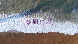 - 憂凪に花 / 音街ウナ