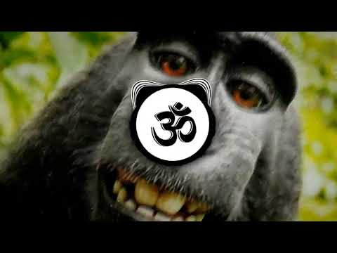 PROGRESSIVE PSYTRANCE ◉ Tones And I - Dance Monkey (Fx - Istence Bootleg)