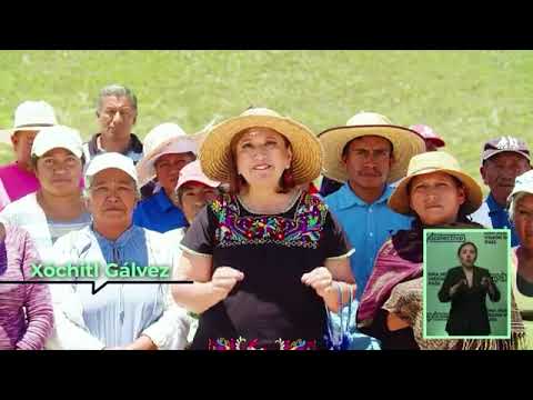 IMG VIDEO
