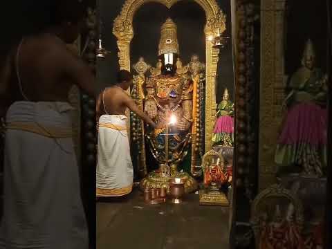 Tirupati Balaji Aarti Darshan || Tirupati || Blessed Morning #tirupati #tirumala