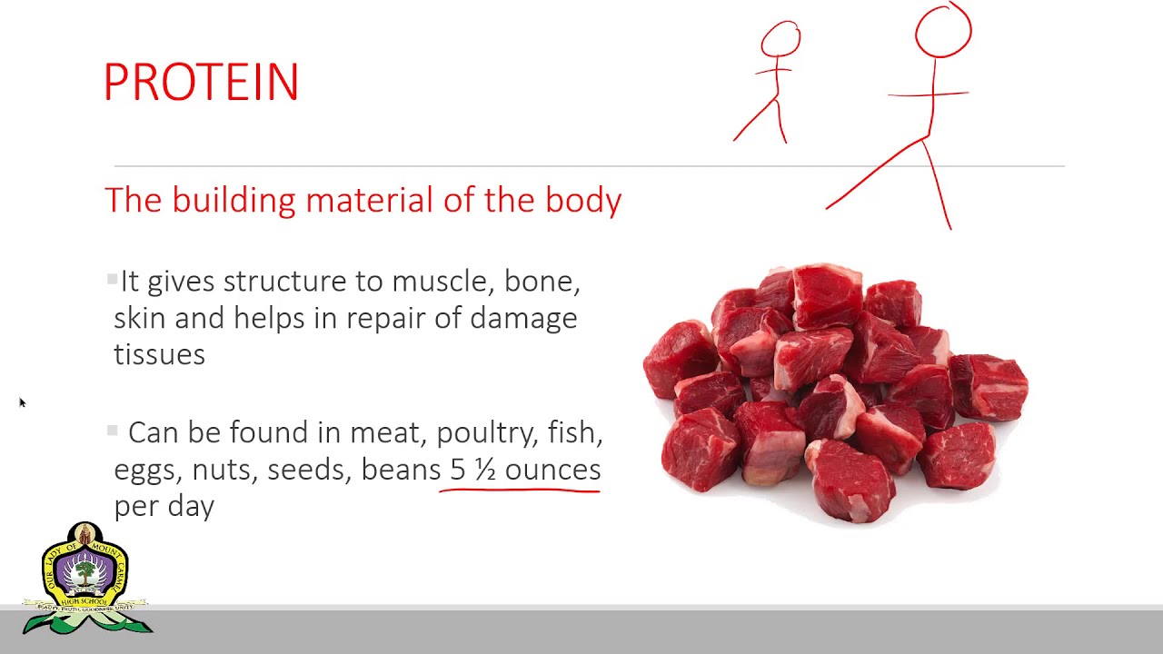 Week 12   Human and Social Biology   Third Form PowerPoint Video