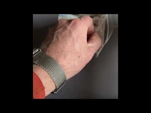 Episode 24: Stamp Fair Day!