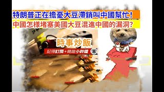 時事炒飯-特朗普正在擔憂大豆滯銷叫中國幫忙！中國怎様堵塞美國大豆混進中國的漏洞？- 2025年8月14日