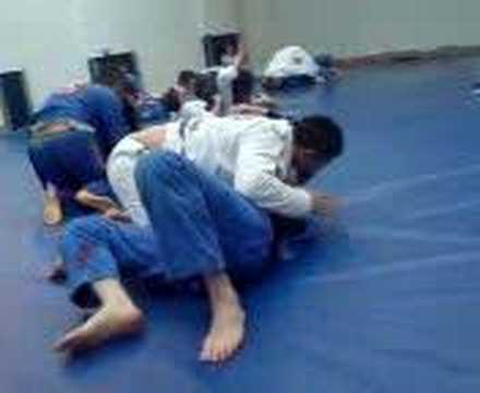 henrique jr vs purple belt