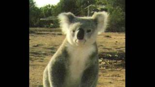 Dan Melchior und Das Menace - Poison Pete's Holiday