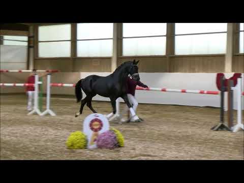 Bonne Soiree v  Bon Coeur