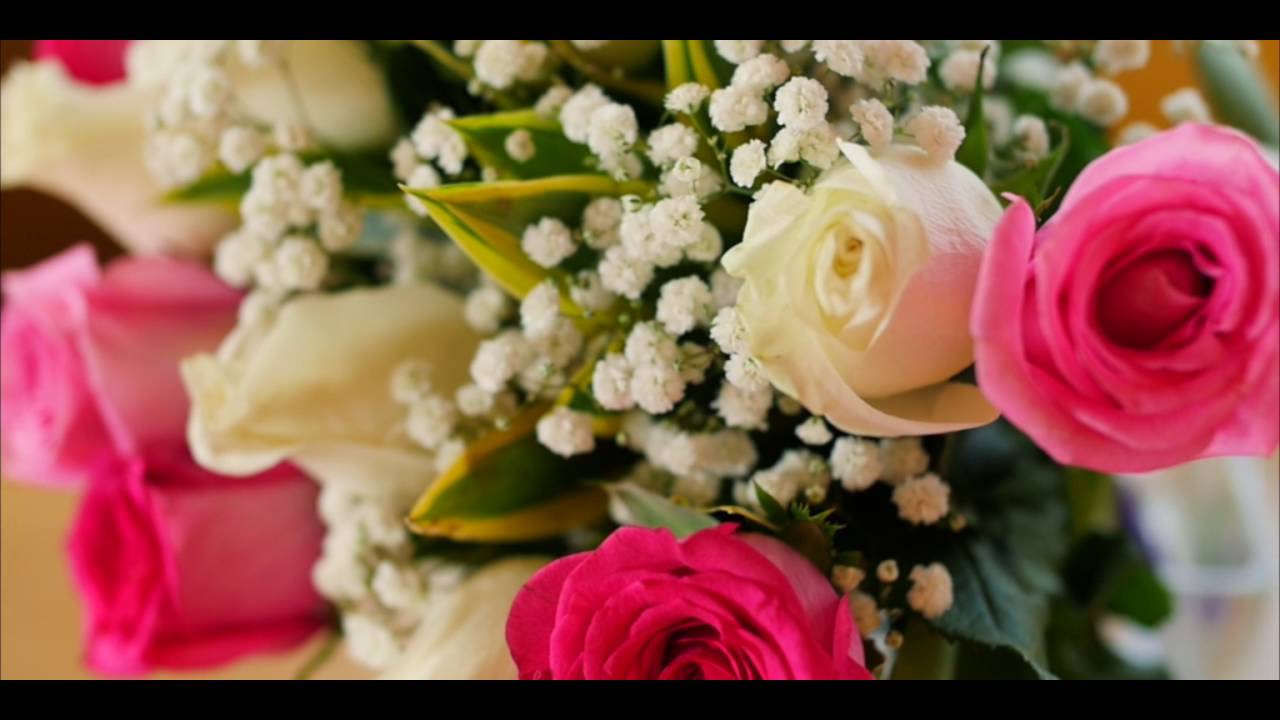 Oncall Limonosine2016 video