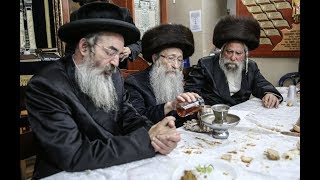 חתונת בית נדבורנה - Nadvorna rebbe