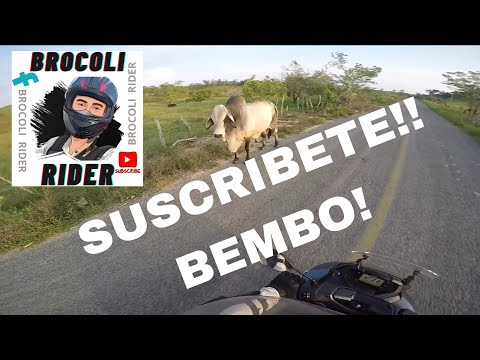 RUTA PLAYA VENTURA - PLAYA AZUL PART1 | PUEBLOS DE GUERRERO | SUZUKI BURGMAN | #shorts  #short  #yt