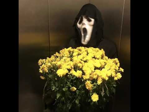 Lil Kashin Mane - MeetMeOnaDanceFloor remix