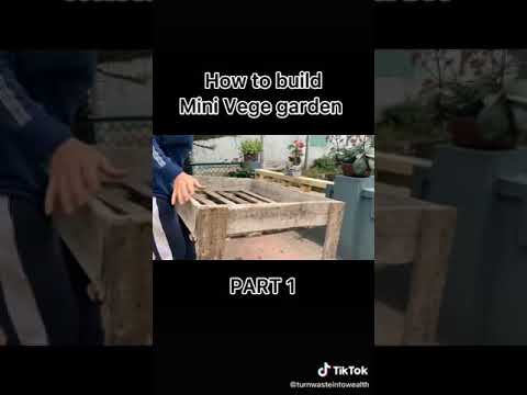 Growing vegetables on the shelf I Farmer's  Active