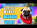 Bangalore To Pondicherry With Pet K Resort Best Pet Friendly Resort In Pondicherry