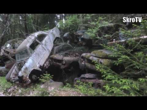 SkroTV - På sommaren vaknar bilskroten till liv