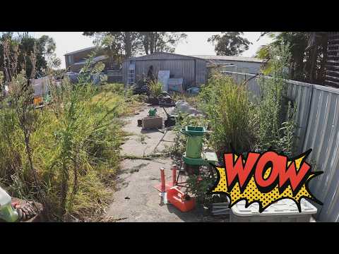 Watch This Backyard Go From MESS to WOW!