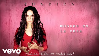 Moscas En La Casa Lyrics  Translation