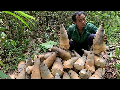 Survival Instinct, Harvesting bamboo shoots, building a life (EP 174)