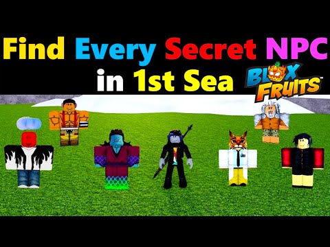 SECRET NPC That You MISSED in Blox Fruits 1st SEA #roblox #bloxfruits