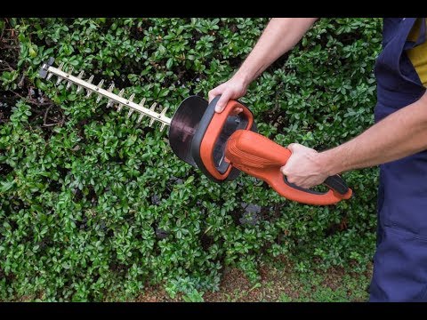 Black and decker hedge trimmer review