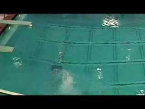 2007 Evanston Diving