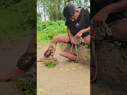 #shortvideo #funny 🤣