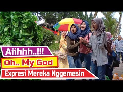 baturaden-purwokerto-bushman-prank-manusia-pohon-part-3-prank-lucu-banget-bikin-ngakak