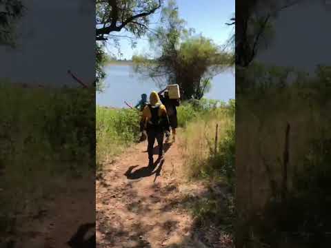 Llegando a salto chico . Concordia