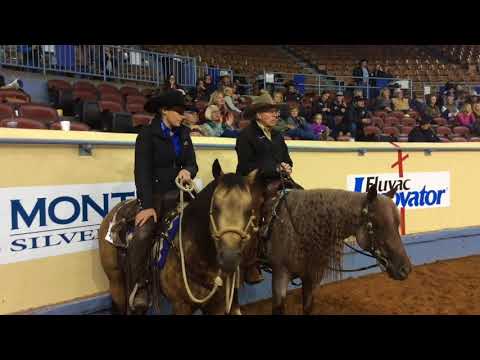 2017 AQHA Jr Working Cow Horse World Show Moment