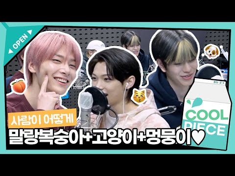 사람이 어떻게 🍑😽🐶💕 말랑복숭아 아이엔과 필릭스&승민 ’SUPER BOARD’ 냐옹파트 오리지날+댕댕버전💖✨/ [비투비의 키스 더 라디오] l KBS 221012 방송