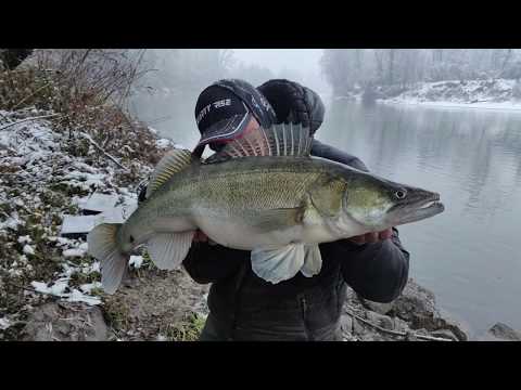 Zander Spinning On Velika Morava - Silicon Lure - Mirko Mihailovic - Smudj - C&R 10 kg