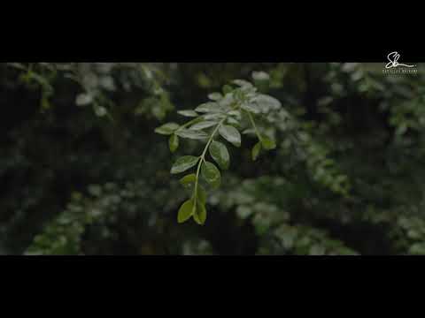 Pajtimi mes muslimanëve - Hoxhë Sadullah Bajrami