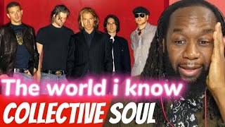 COLLECTIVE SOUL - The world i know (acoustic live)REACTION - A fantastic performance - first hearing