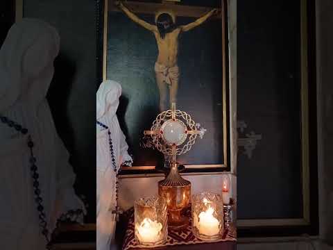 Adoracion Al Santisimo Sagramento del Altar con el Padre Fabian Esteban Oliva. 26/08/26