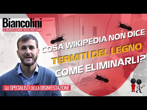 Esilio di vermi nel modo nazionale I parassiti esistono solo su organismi vivi che li fanno il danno