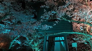 えぺ　ランク