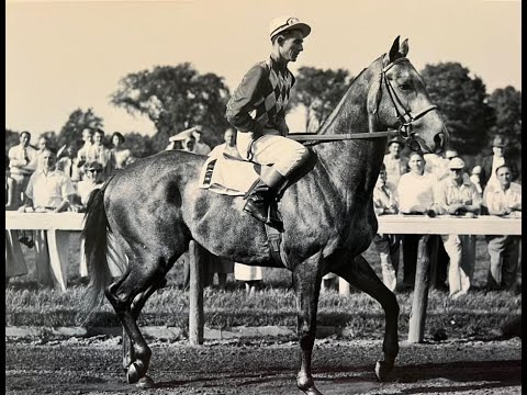 Native Dancer - 1953 Travers Stakes, Saratoga