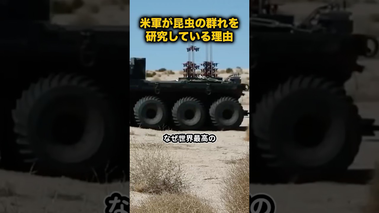 【応用】米軍が昆虫の群れを研究している理由