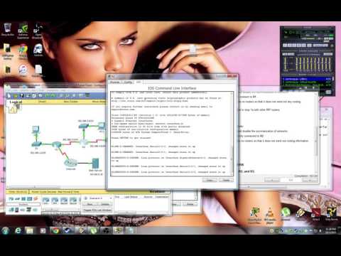 ICDN1 Packet Tracer 7.3.1.8