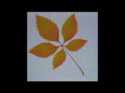 Solomadistrict - Осень при уч. Кафу и Тэмбр (prod. Donar)