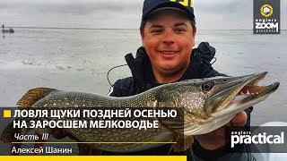 Рыбалка с шаниным новое