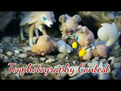 20,000 Subscribers Toyphotography Contest
