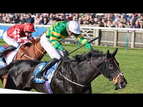 Cheltenham Festival winner The Shunter lands £200,000 Cesarewitch Handicap at Newmarket