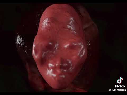 Vore girl part 26 #vore