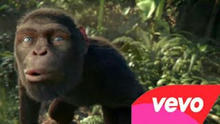 Cover art for sopa de macaco