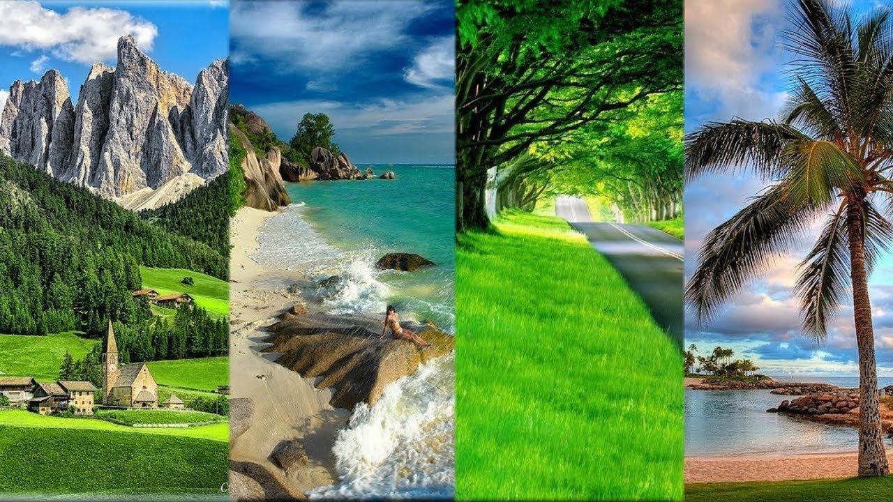 Beautiful nature mobile wallpaper collection| nature wallpaper | attractive collection | Colour City