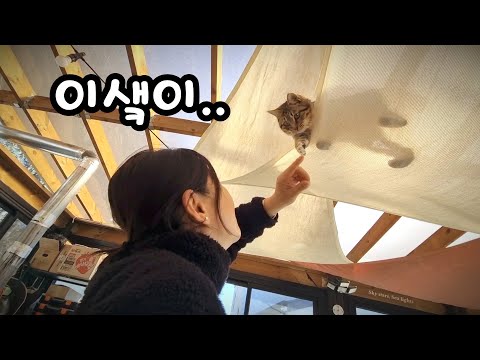 고양이를 바라보는 엄마의 시선